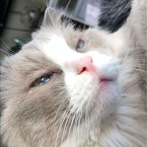 Meet your Posher, Taryn